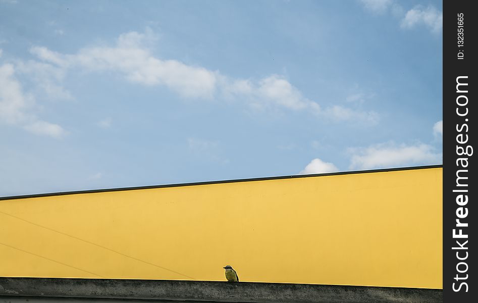 Sky, Yellow, Cloud, Horizon