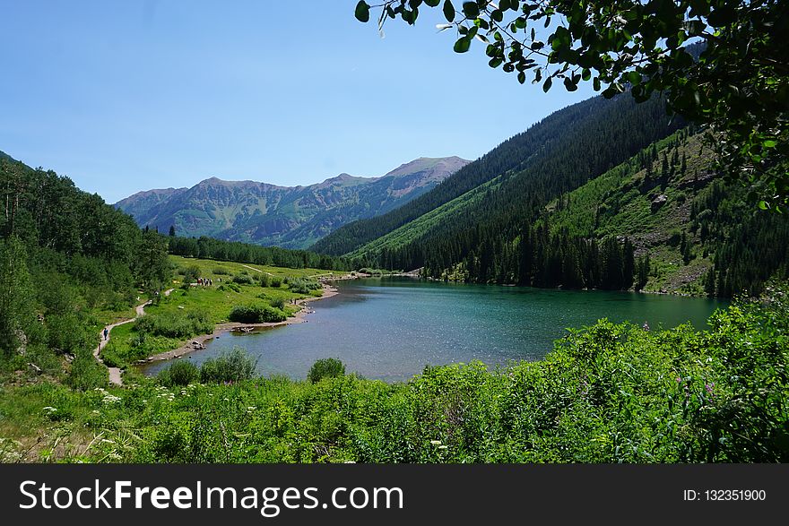 Nature, Nature Reserve, Vegetation, Wilderness