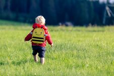 Baby Boy Hiking With Backpack On Green Meadow Stock Photography