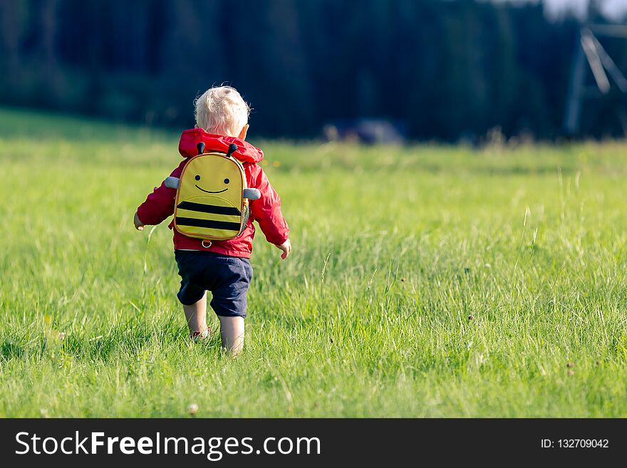 Baby boy hiking with backpack on green meadow. Young child on vacations hike. Inspirational travel and tourism concept