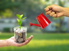 Plant Growing In Jar With Hand Holding Watering Can - Investment And Interest Concept Stock Photo