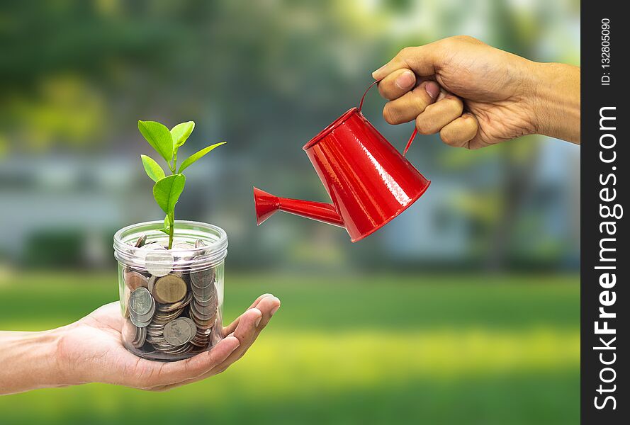 Plant Growing in jar with hand holding watering can - Investment And Interest Concept