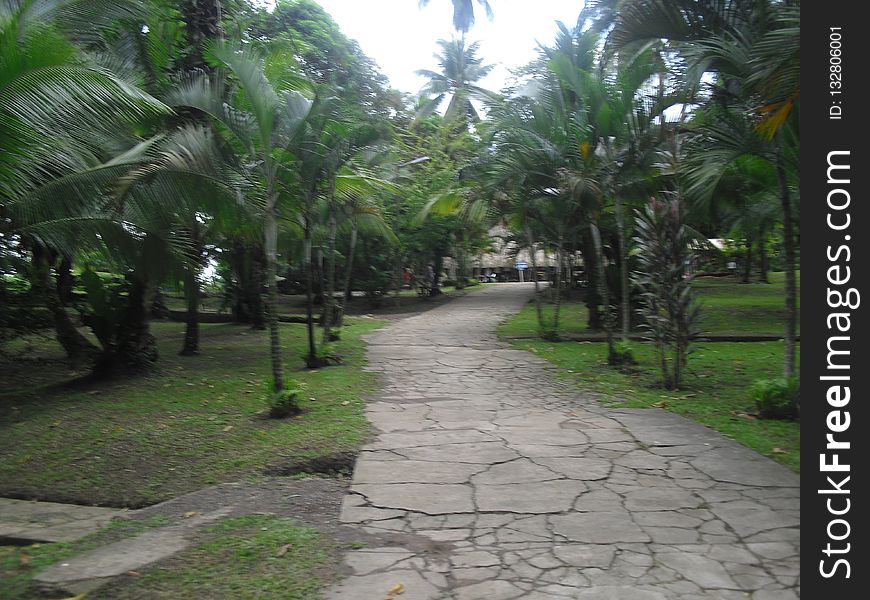 Lake of Rio Dulce, Izabal, Guatemala, Central America 57