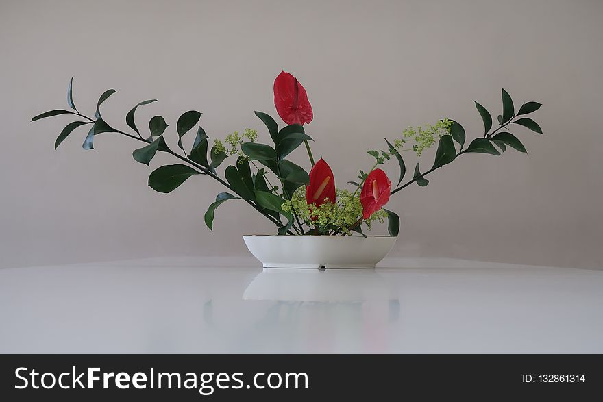 Ikebana, Plant, Flowerpot, Vase