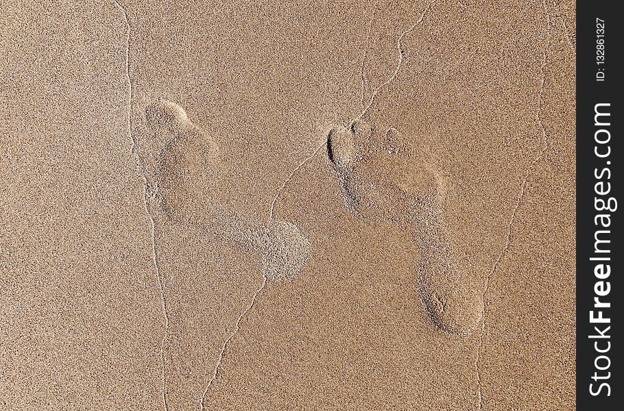 Sand, Footprint, Soil, Ecoregion