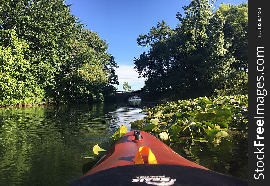 Waterway, Boat, Canal, Bayou
