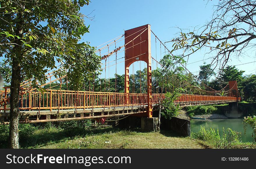 Bridge, Suspension Bridge, Truss Bridge, Tree