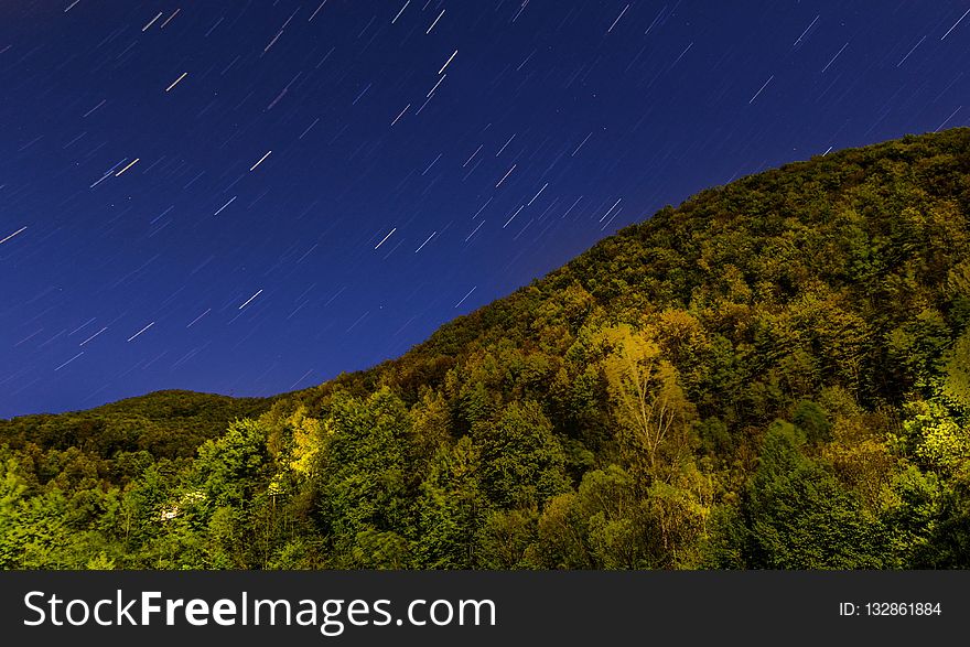 Sky, Nature, Vegetation, Ecosystem