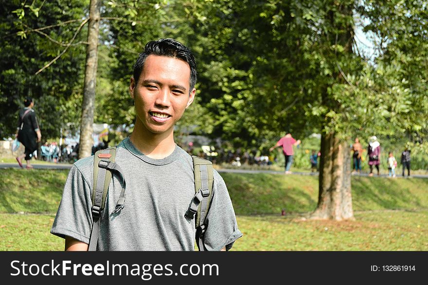 Green, Tree, Vertebrate, Woody Plant