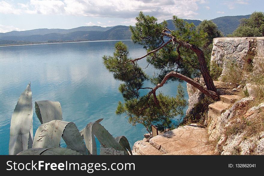 Tree, Nature Reserve, Rock, Water