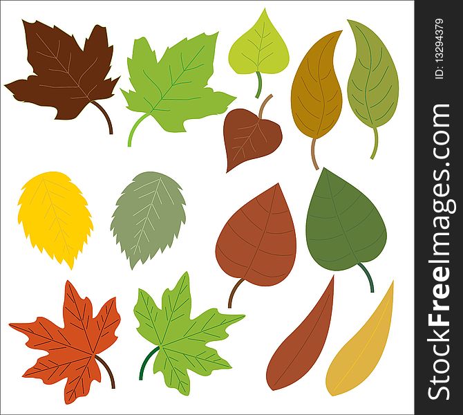 Leaf Nature Symbols Illustration