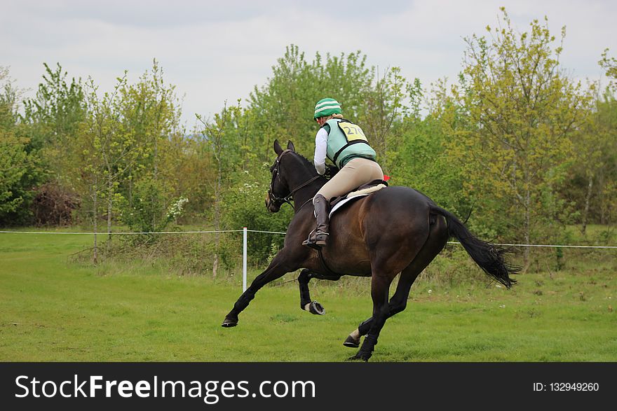 Eventing, Equestrianism, Horse, English Riding