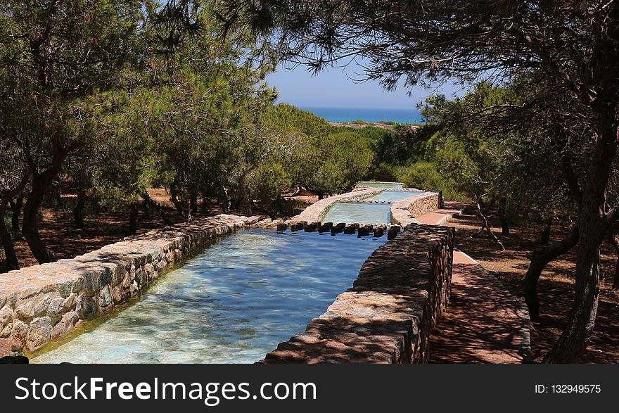 Property, Nature Reserve, Resort, Tree