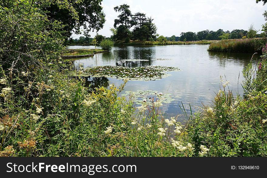 Water, Body Of Water, Nature Reserve, Vegetation