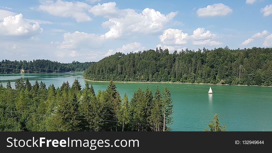 Nature, Lake, Nature Reserve, Ecosystem