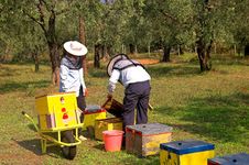 Bee Boxes And Bee Keepers 3 Stock Images Bee Boxes And Bee Keepers 3 Stock Images