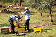 Bee Boxes And Bee Keepers 4 Stock Photography Bee Boxes And Bee Keepers 4 Stock Photography