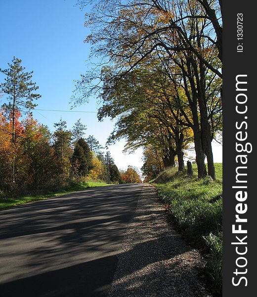 A country road in a sunny autumn morning.