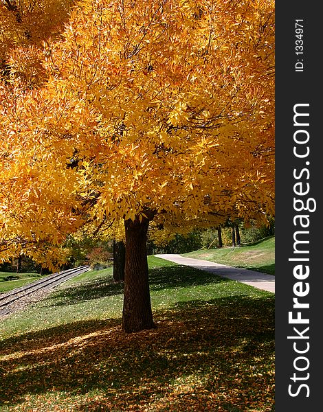 Fall colors in an Englewood, Colorado park in 2006. Fall colors in an Englewood, Colorado park in 2006.