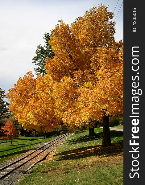 Scenic view of Autumnal trees by railway track in countryside park. Scenic view of Autumnal trees by railway track in countryside park.