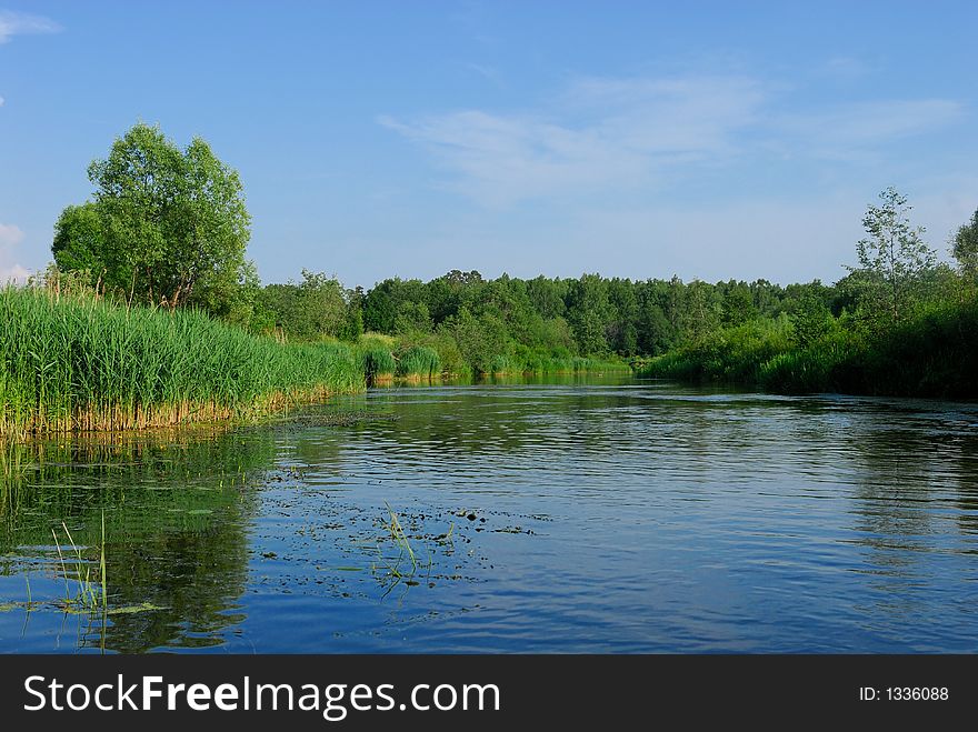 River in the summer day. Nikon D200