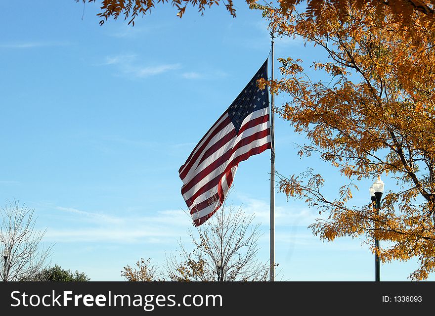 American flag framed with tree in fall colors and lampost. American flag framed with tree in fall colors and lampost.