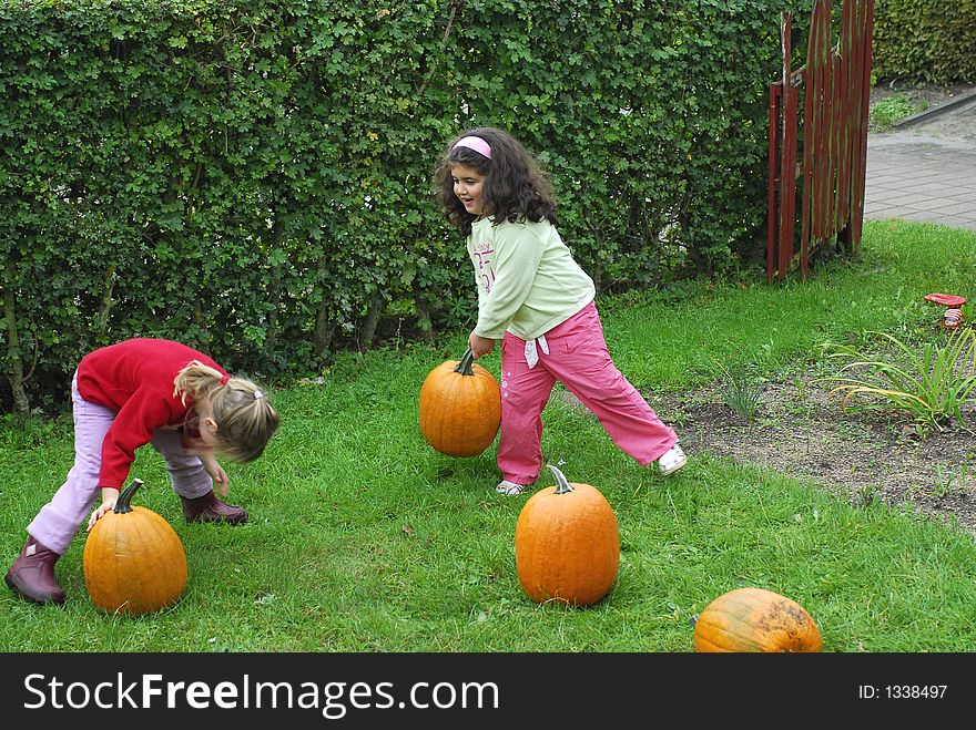 Girls are collecting pumpkins for halloween