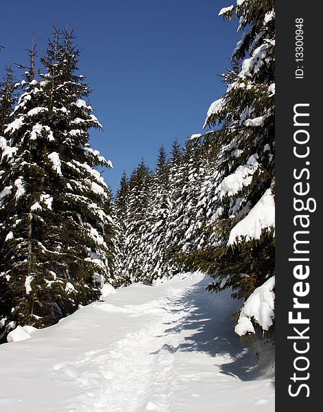 Mountain, trees and path covered in snow during winter. Mountain, trees and path covered in snow during winter