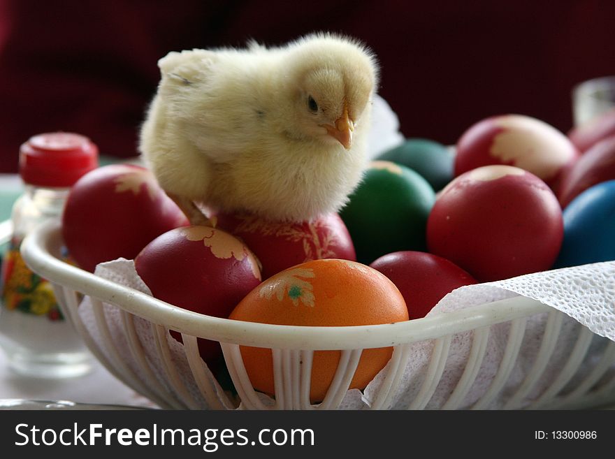 Small chicken on top of Easter eggs. Small chicken on top of Easter eggs