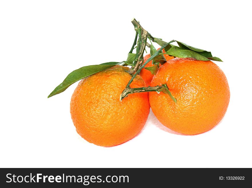 Tangerine on a white background