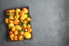 Various Citrus Fruits Royalty Free Stock Photography