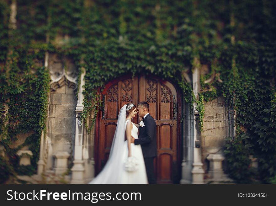 Elegant bride in a white dress and veil. Handsome groom in a blue suit. Couple near large building. Elegant bride in a white dress and veil. Handsome groom in a blue suit. Couple near large building