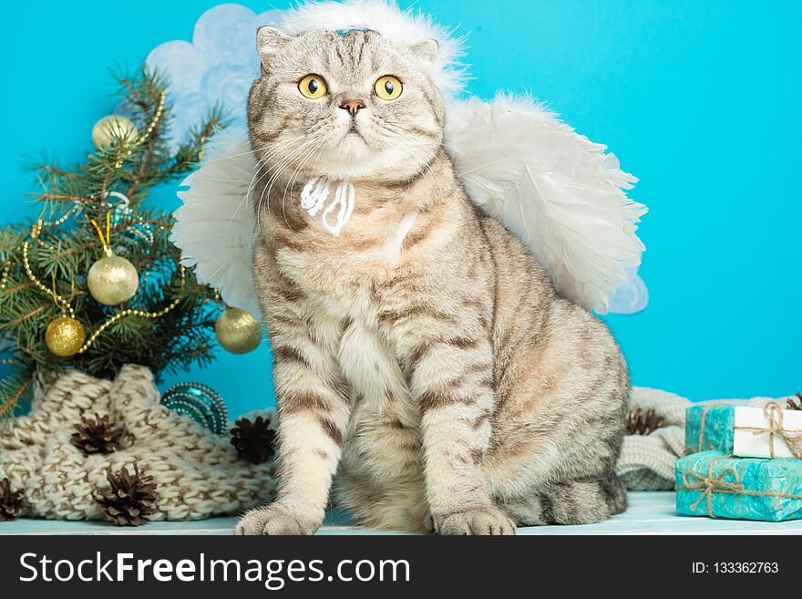 Christmas angel is a cute cat, with wings on the background of a decorated Christmas tree. New Year and Happy Christmas.