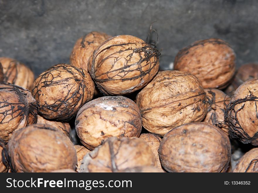 Group of dusty  walnuts on a gray background