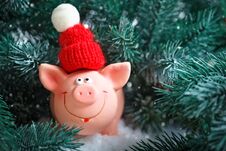 Merry Christmas And Happy New Year. Toy Pig In The Branches Of Spruce. Background With Copy Space. Selective Focus. Stock Images