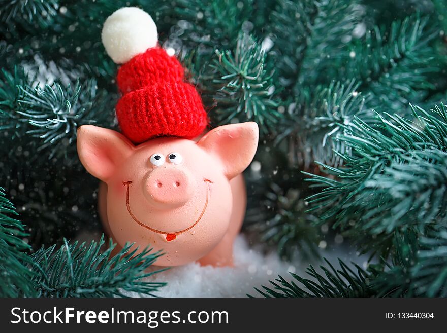 Merry Christmas and happy New year. Toy pig in the branches of spruce. Background with copy space. Selective focus.