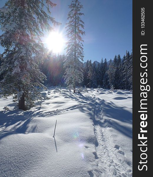 Winter, Snow, Sky, Freezing