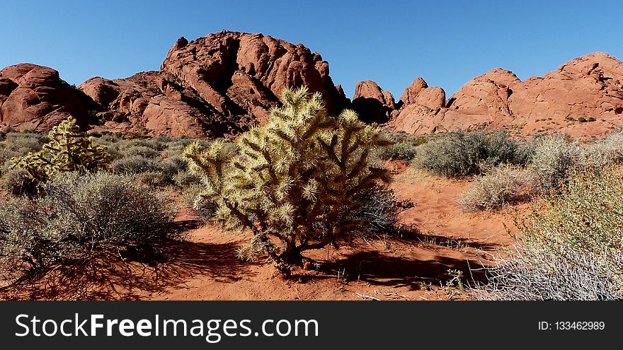 Rock, Wilderness, Chaparral, Vegetation