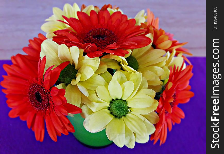 Flower, Yellow, Flower Bouquet, Cut Flowers