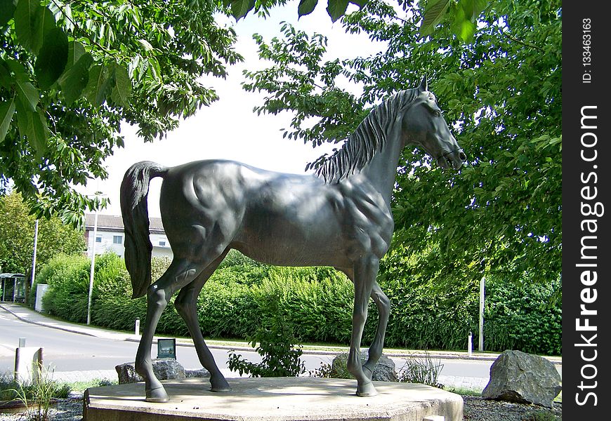 Horse, Statue, Horse Like Mammal, Stallion