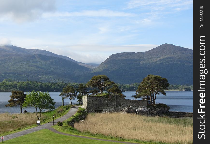 Highland, Loch, Lake, Tree