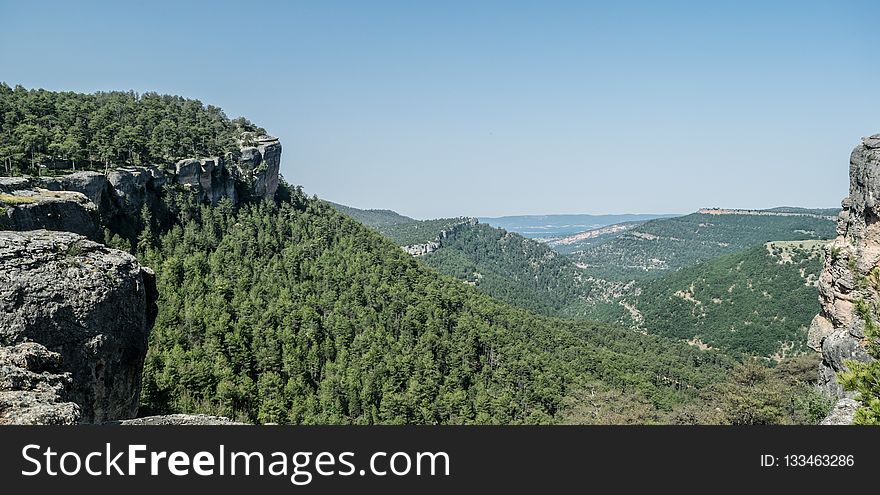 Nature Reserve, Vegetation, Wilderness, Ecosystem