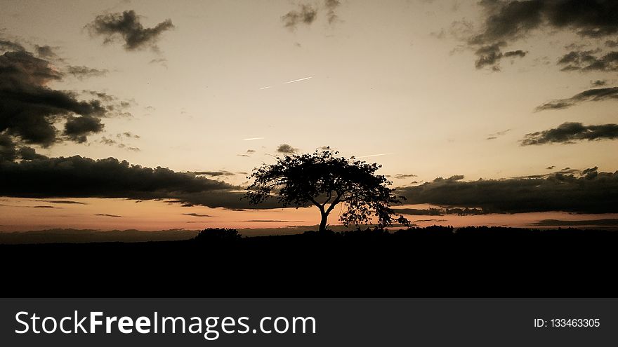 Sky, Savanna, Horizon, Tree