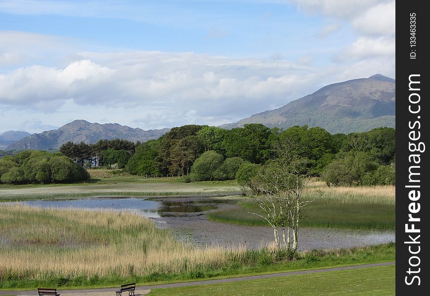 Grassland, Loch, Highland, Nature Reserve