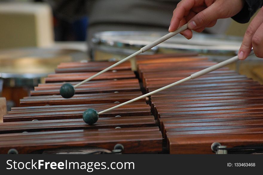 Musical Instrument, Xylophone, Marimba, Cue Stick