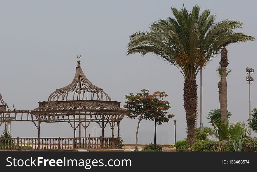 Arecales, Palm Tree, Tree, Tourist Attraction