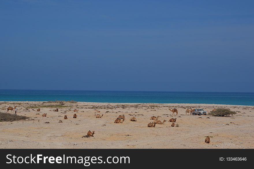 Sea, Sky, Coastal And Oceanic Landforms, Shore