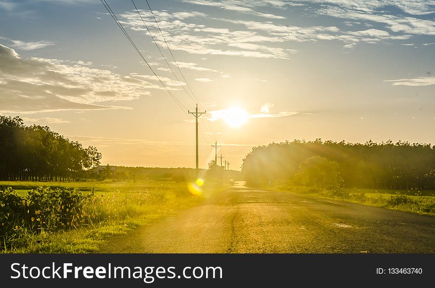 Sky, Road, Field, Yellow