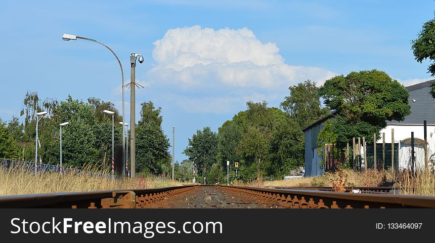 Track, Transport, Tree, Sky