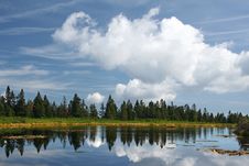 Forest Reflection Royalty Free Stock Photos Forest Reflection Royalty Free Stock Photos